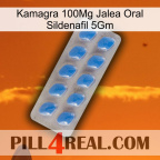 Kamagra 100Mg Oral Jelly Sildenafil 5Gm 22